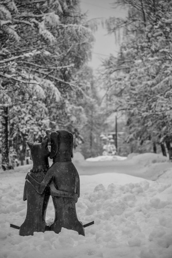 Photograph by Ирина Галеева