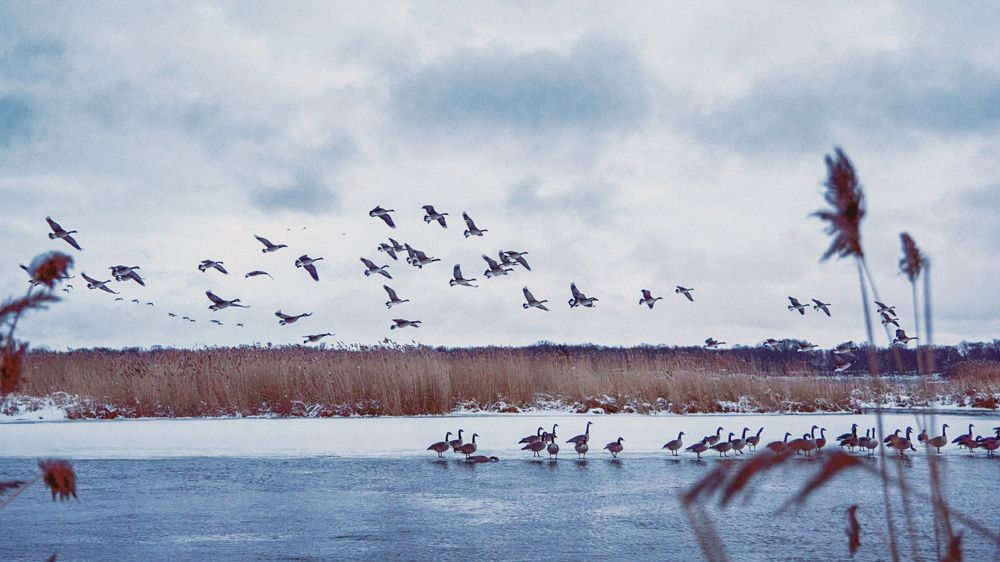 Photograph by Natalia Ghimp