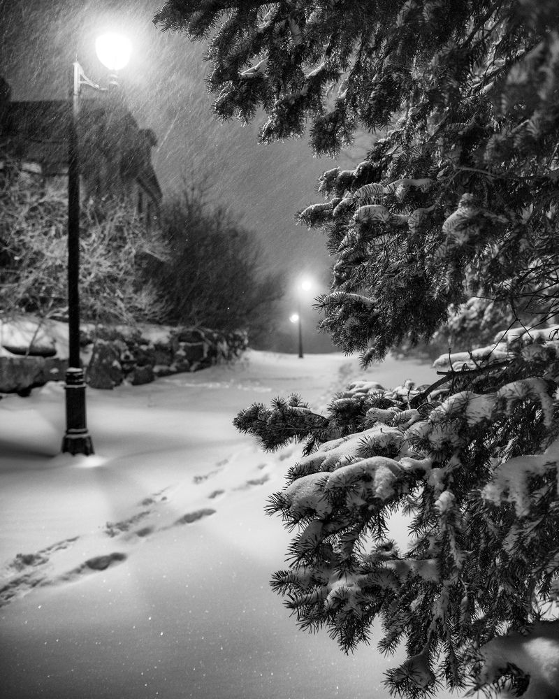 Photograph by Natalia Ghimp