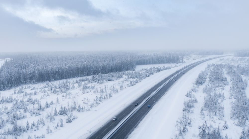 Фотография автора Клавдия Паргачёва