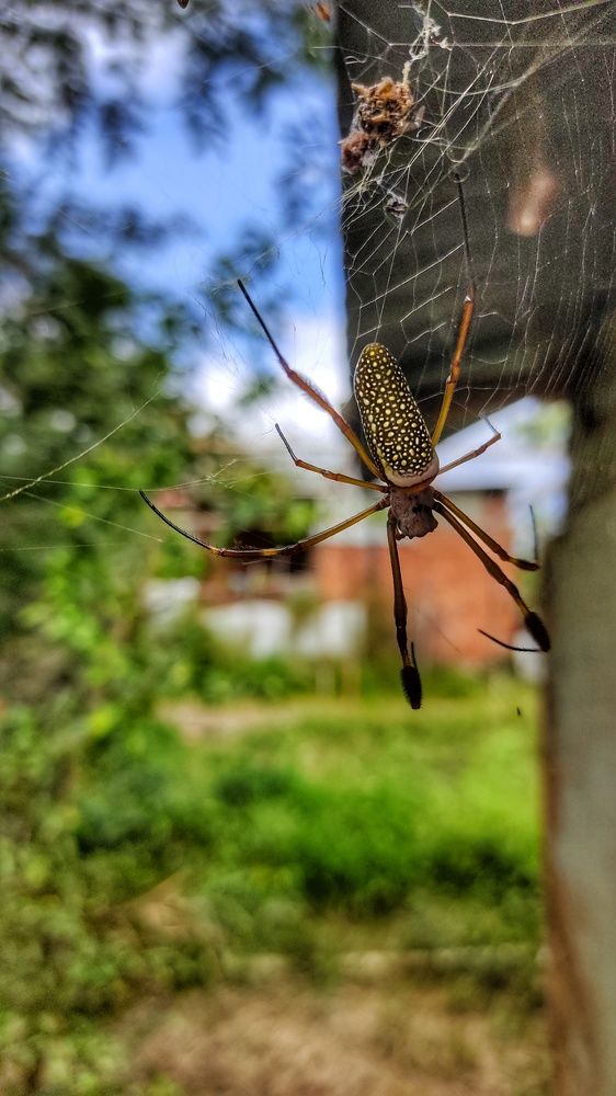 Photograph by Nileydi Colmenarez