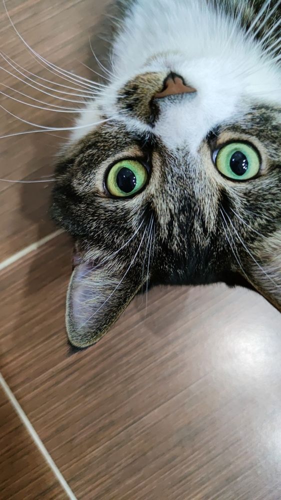 Photograph by Эрика