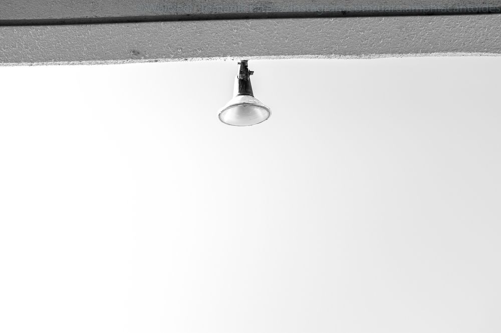 Photograph by Wojciech Tomanik