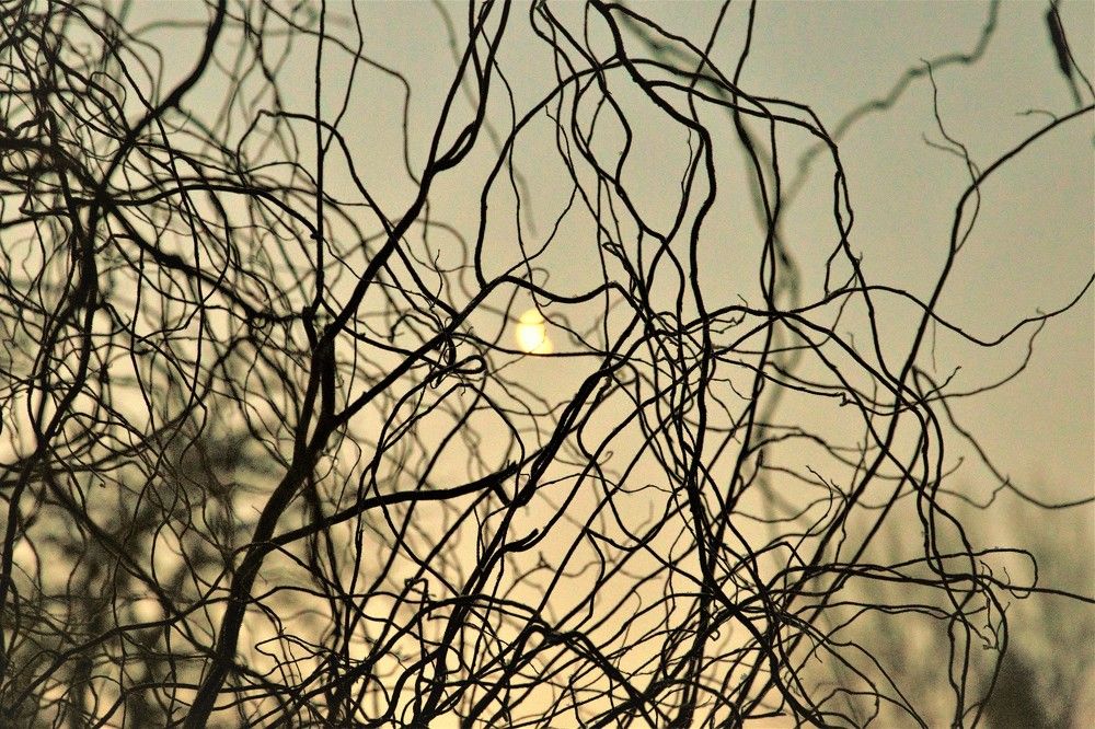 Photograph by Alvydas Baltakis