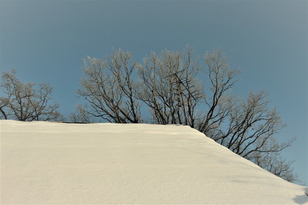 Photograph by Alvydas Baltakis