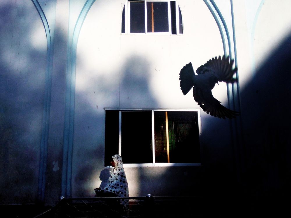 Photograph by Ayman Nakib