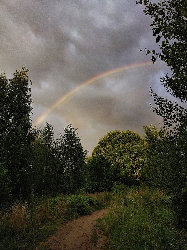 Photograph by Миллена Неро