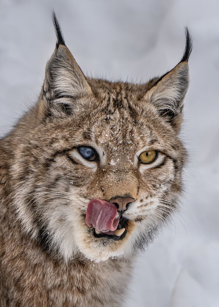 Photograph by Ольга Мусиенко