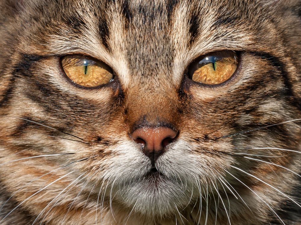 Photograph by Ольга Мусиенко