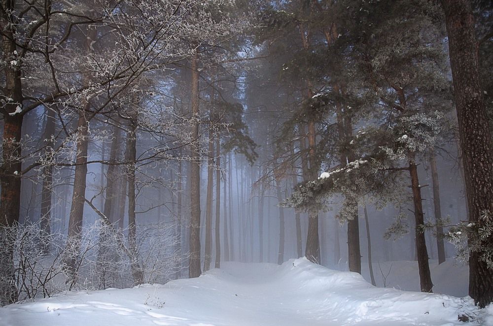 Фотография автора Дарья Мо