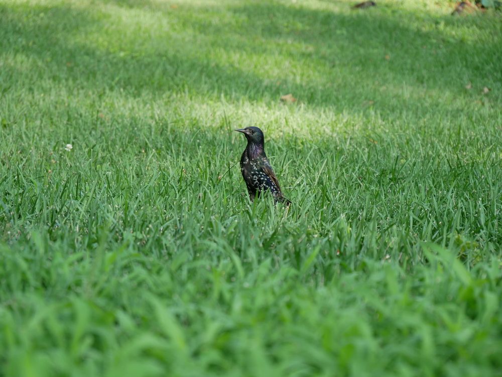 Photo #5922069