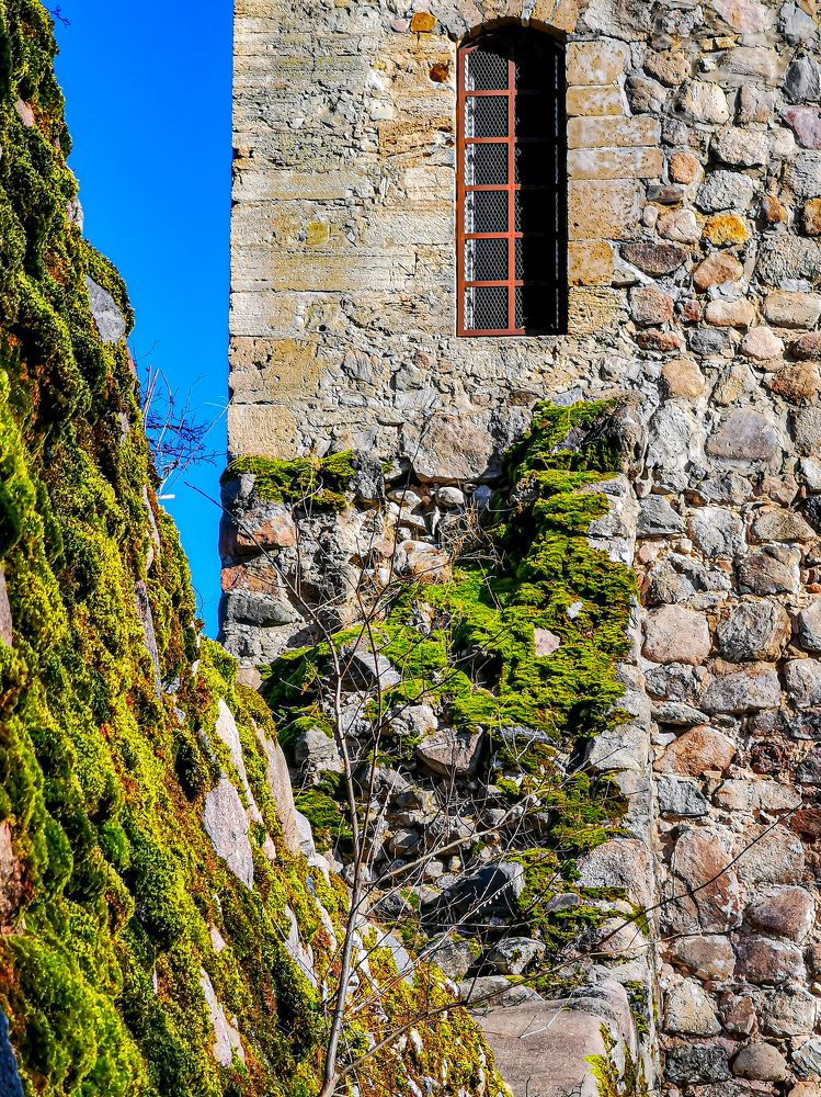 Фотография автора Дмитрий Лебедь