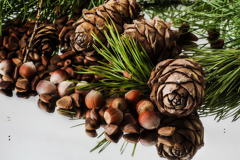 Photograph by Сергей Черных