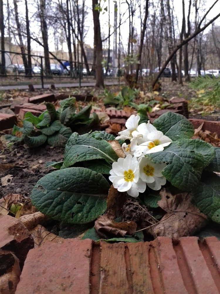 Фотография автора Владислава Андрюнина