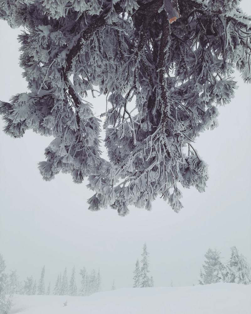 Photograph by Максим Попурий
