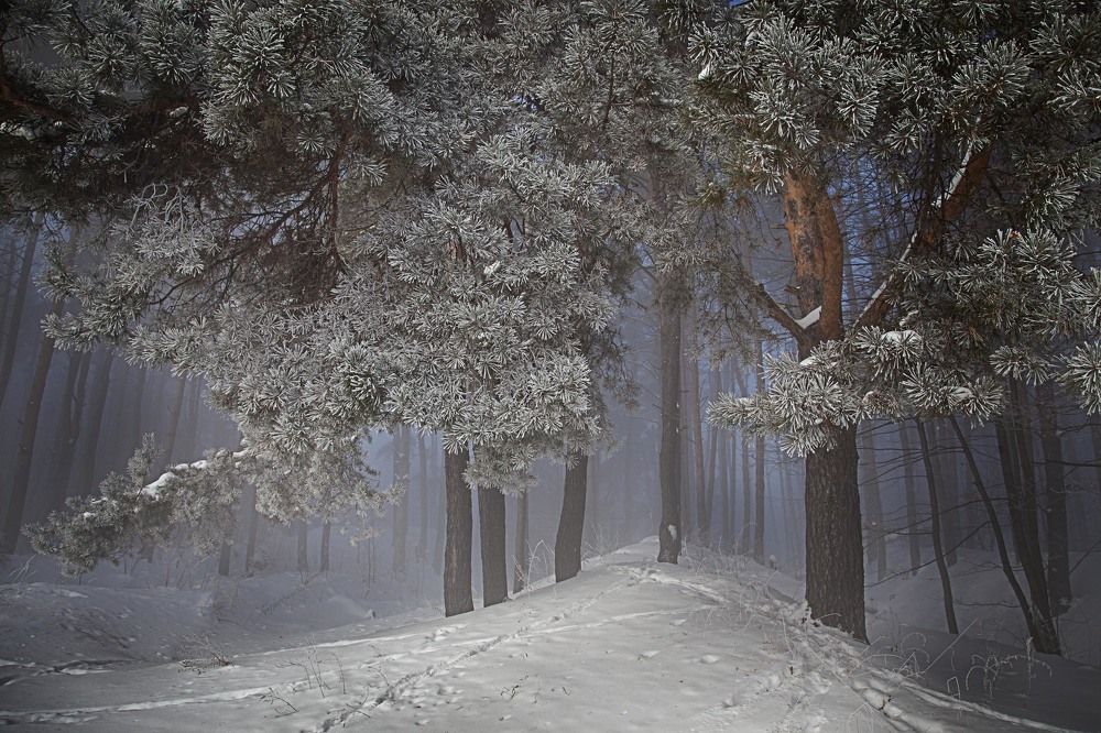 Photograph by Дарья Мо