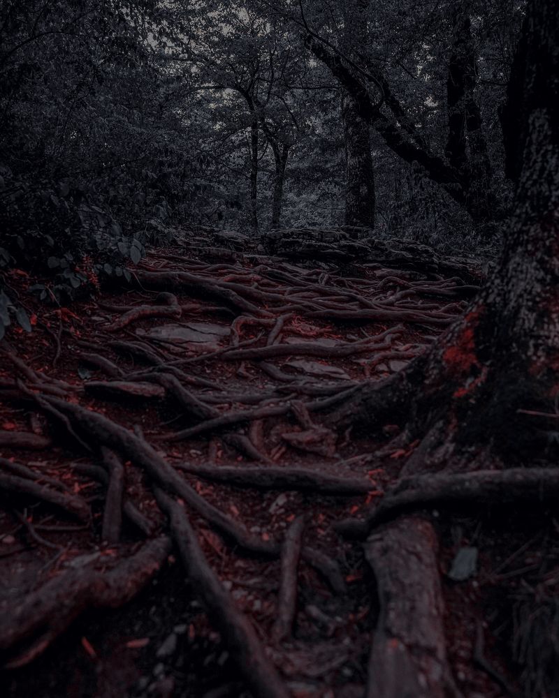 Photograph by Renas Mindubaev