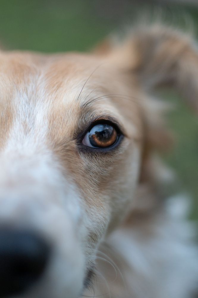 Photograph by Jakub Kudlovsky