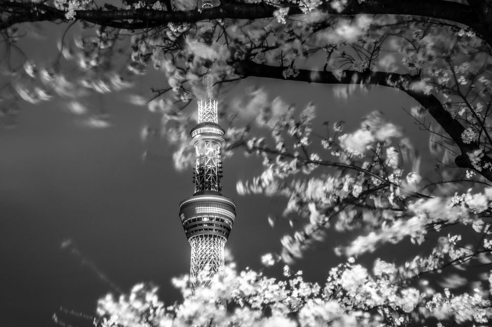 Photograph by Wojciech Tomanik