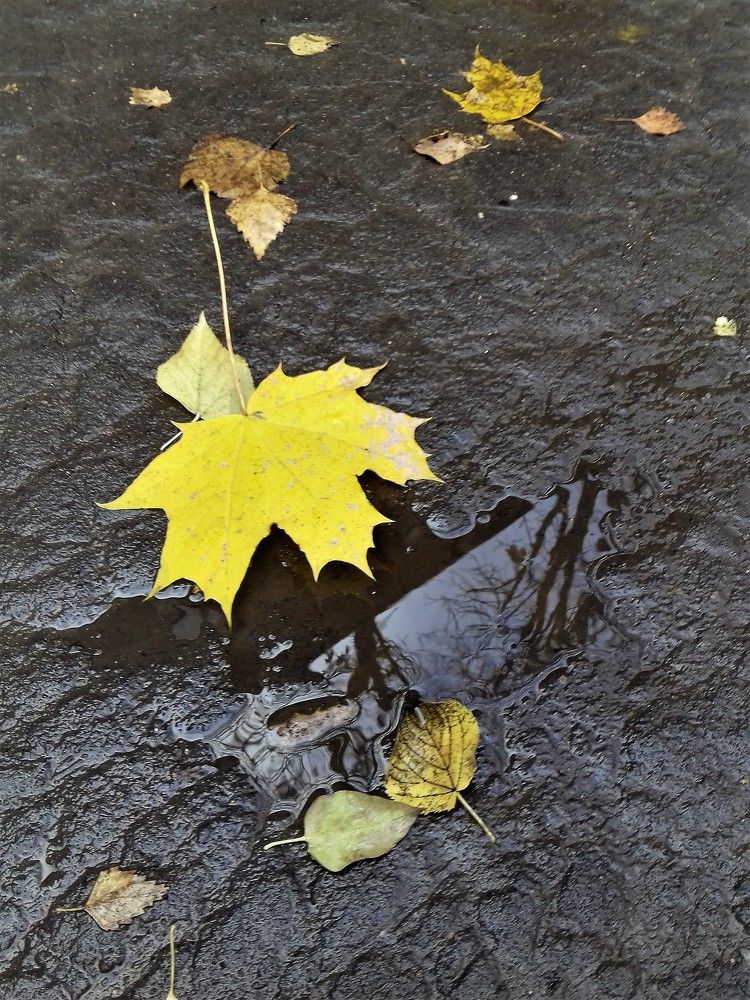 Фотография автора Владислава Андрюнина