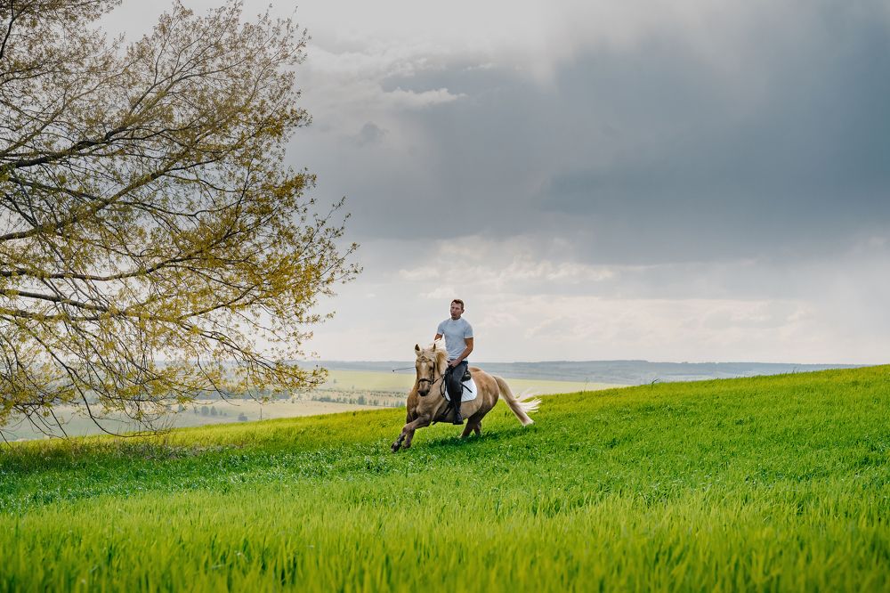 конь в Татарстане