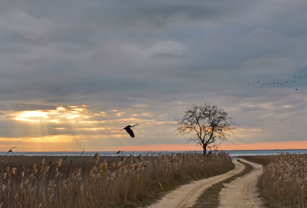 Photograph by Валерий Наумов