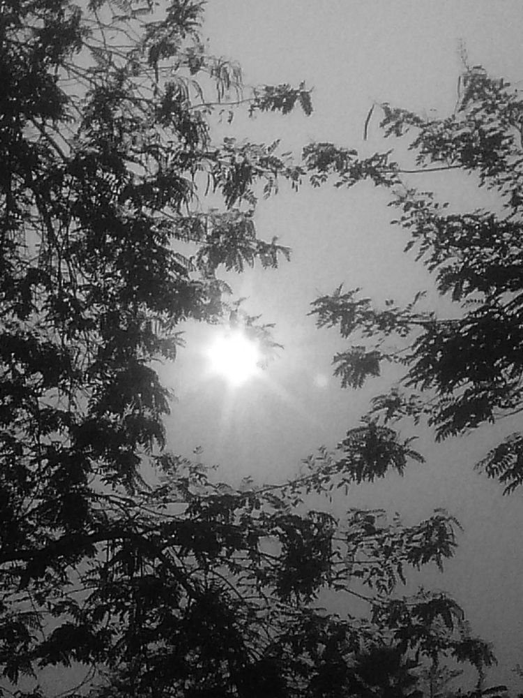 Photograph by Farzana Nasren
