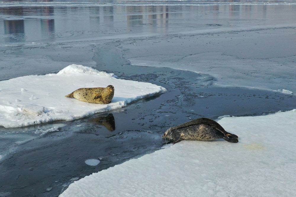 Водные процедуры / Water procedures