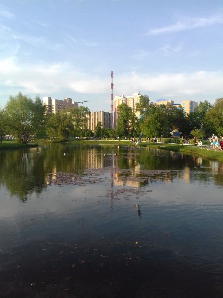 Летний вечер.