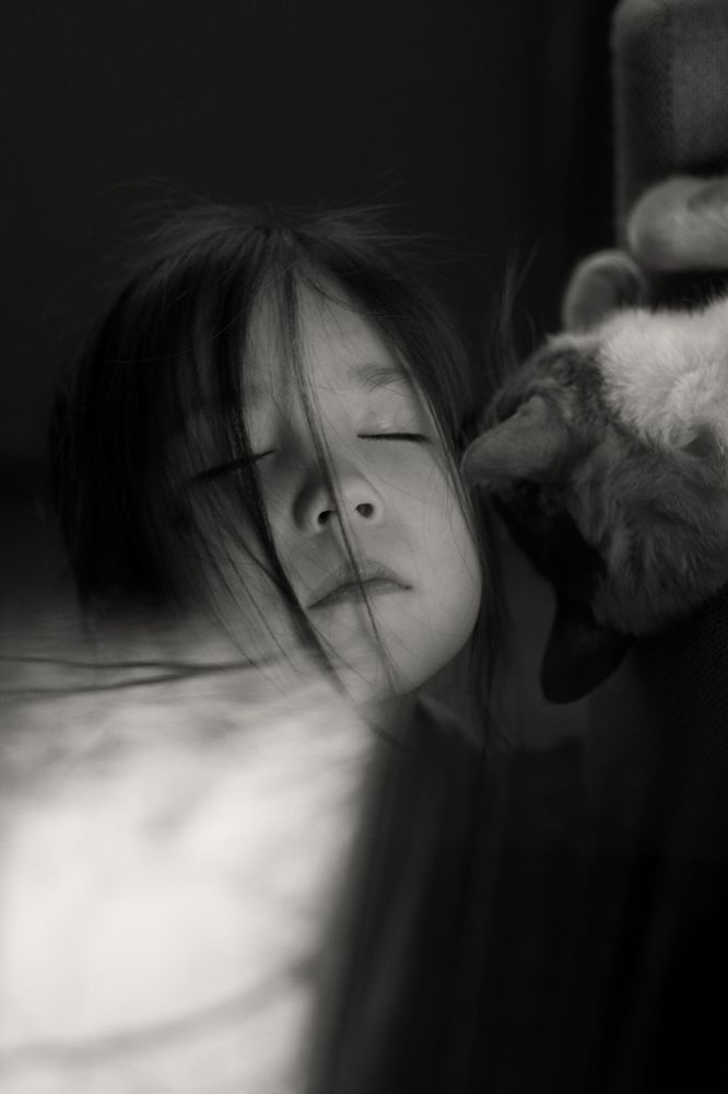 Фотография автора Елена Ельшина