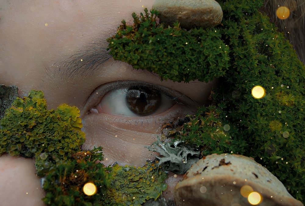 Photograph by Микола Боровський