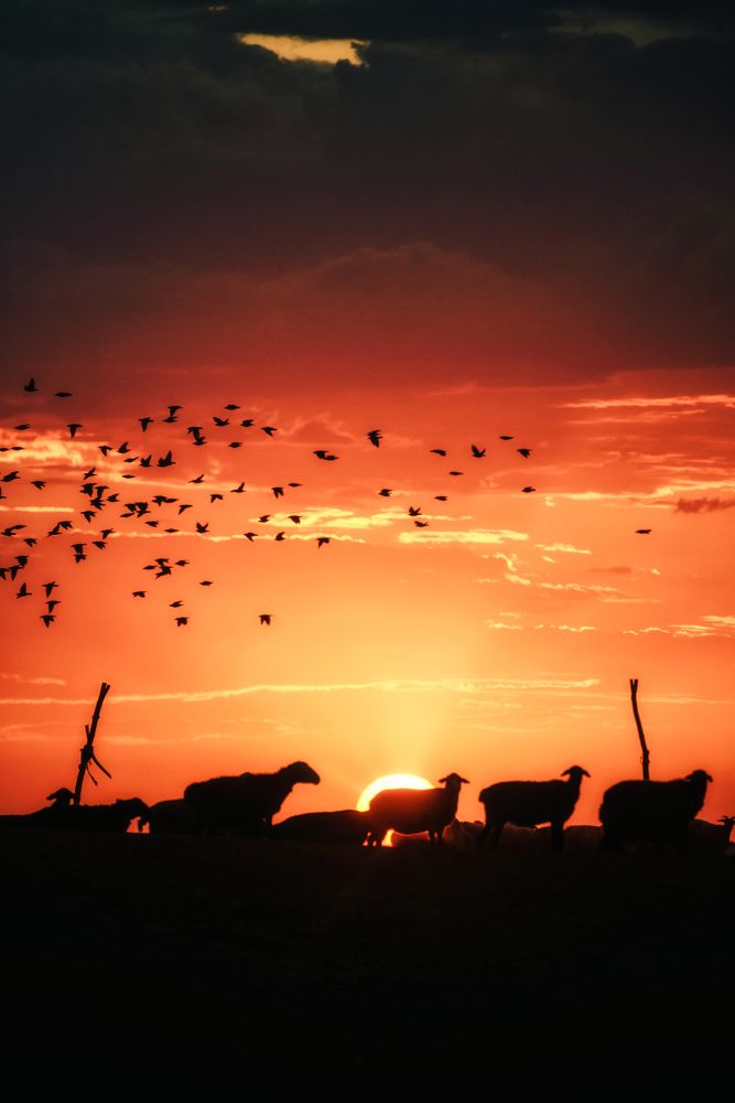 Фотография автора Роман Склейнов