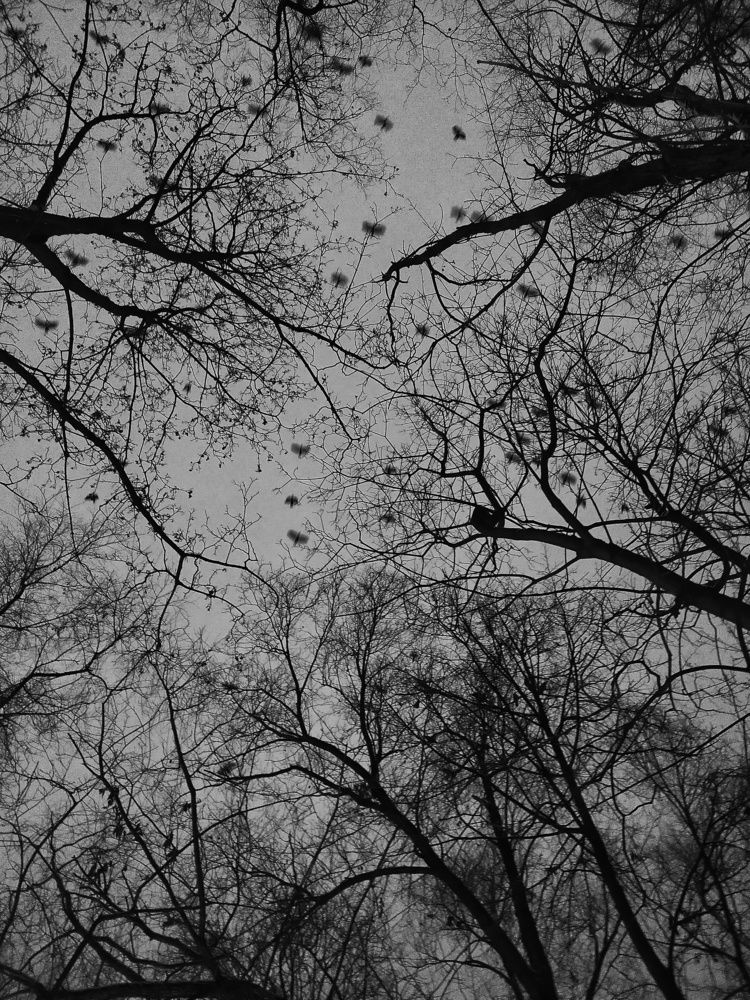 Photograph by Миллена Неро