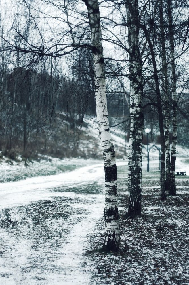 Photograph by Юлия Марфонова