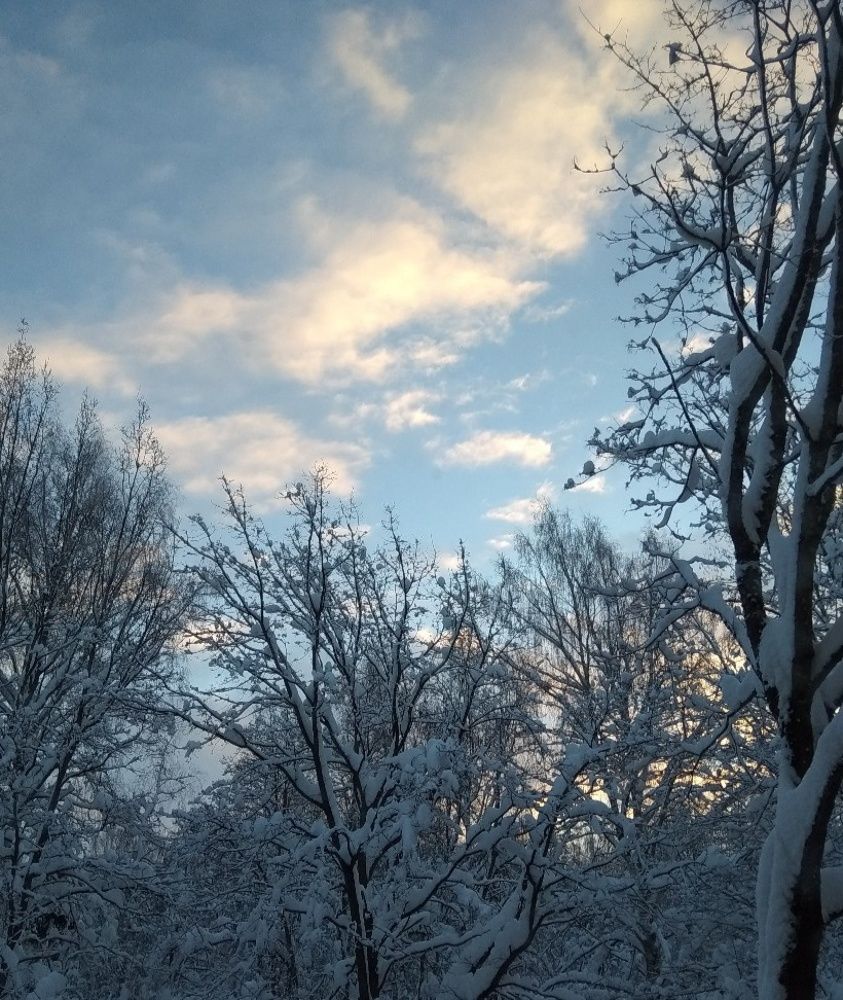 Photograph by Валерия