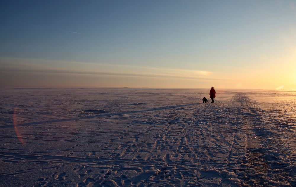 Photograph by Мария Самоловова