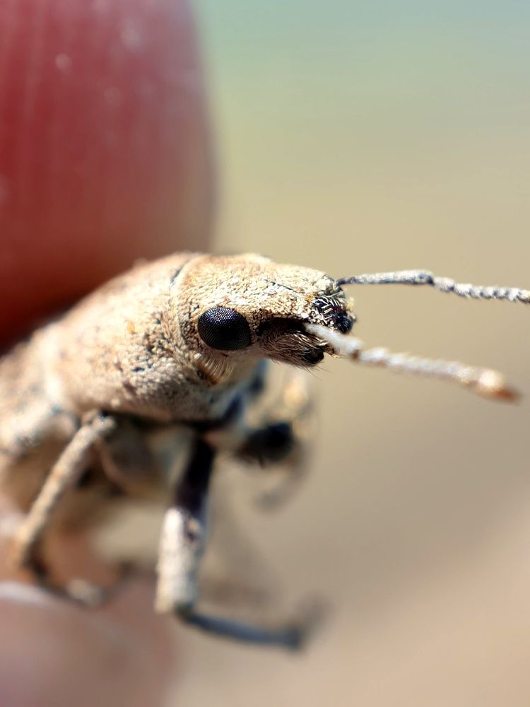 Photograph by Виталий Добрин