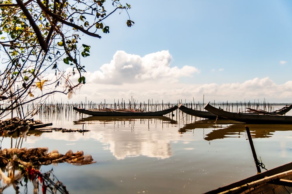 Фотография автора Nguyễn Dặng