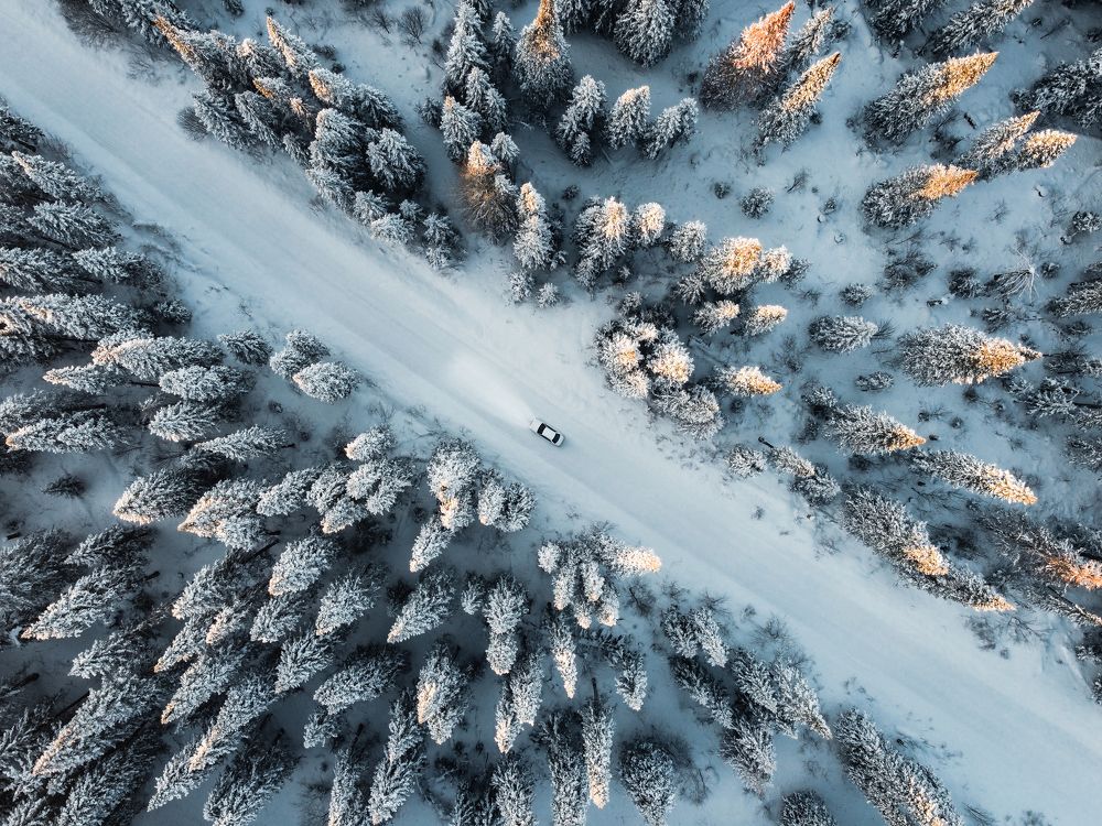 Photograph by Никита Давыдов