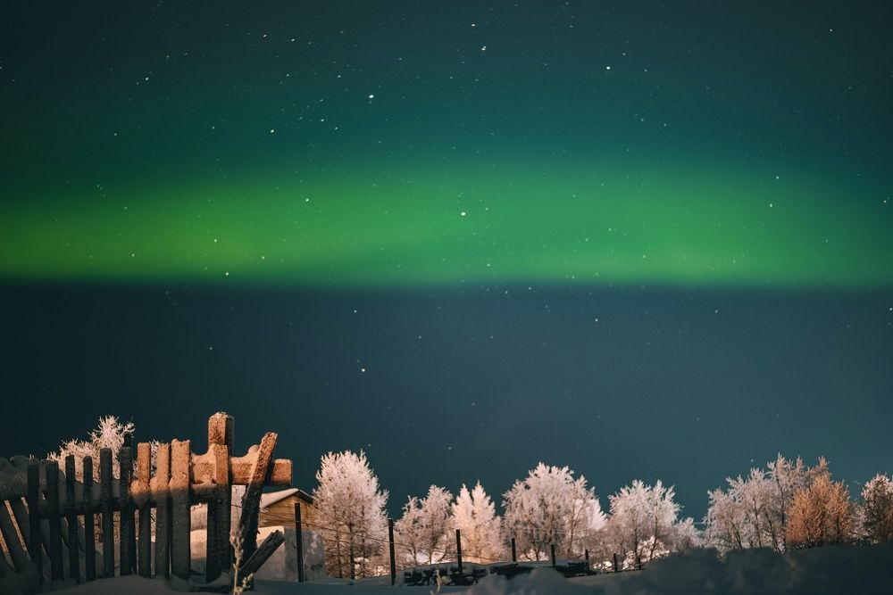 Photograph by Ксения Поташова