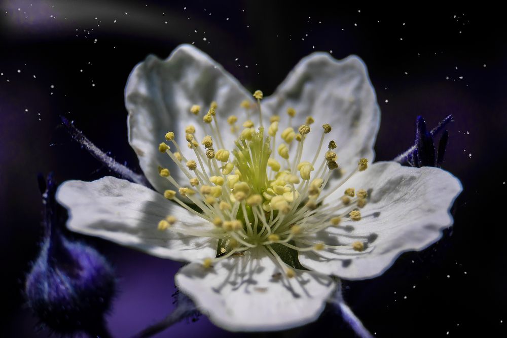 Photograph by Владислав Бичук