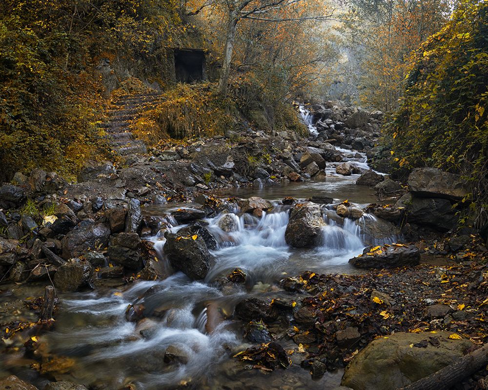 Фотография автора Ali Rouhi