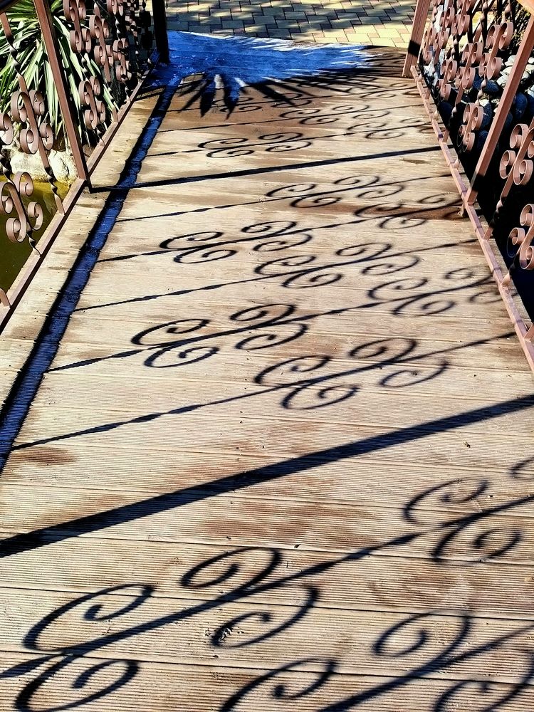 Photograph by Ирина Лаврецкая