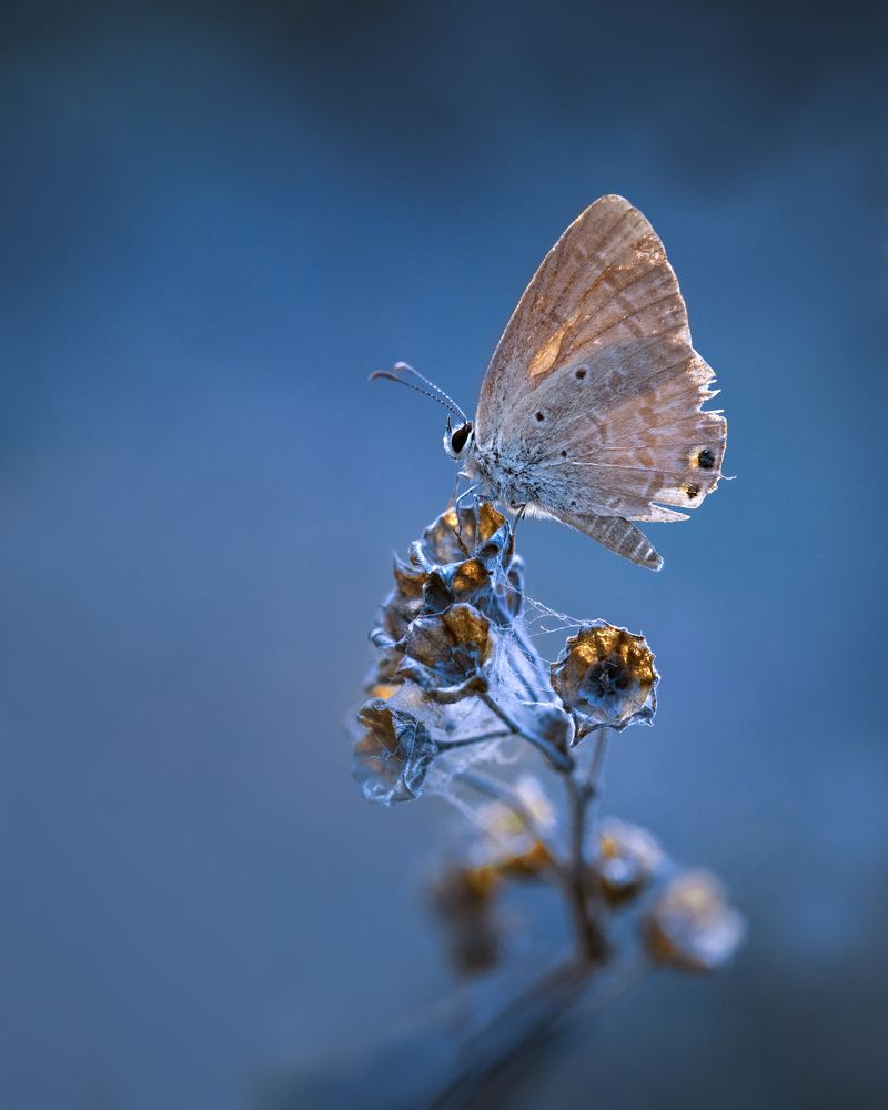 Photograph by Hemraj Chavhan A