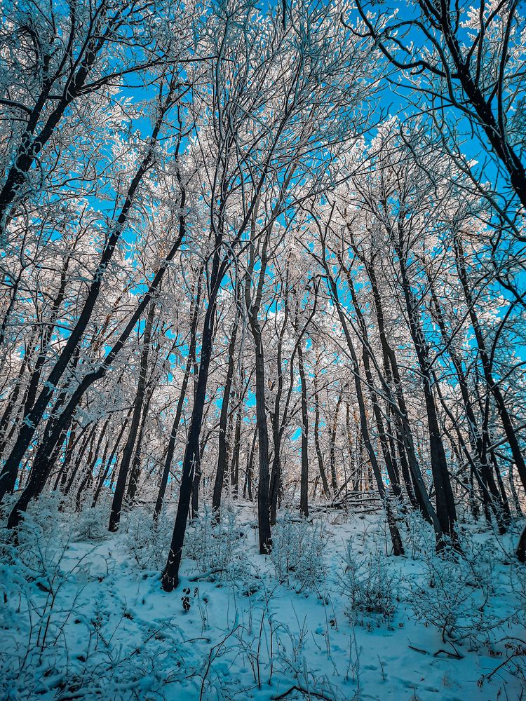 Photograph by Егор Андреев