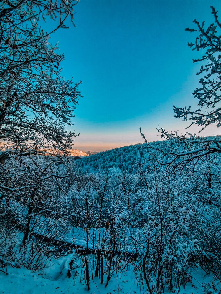 Photograph by Егор Андреев