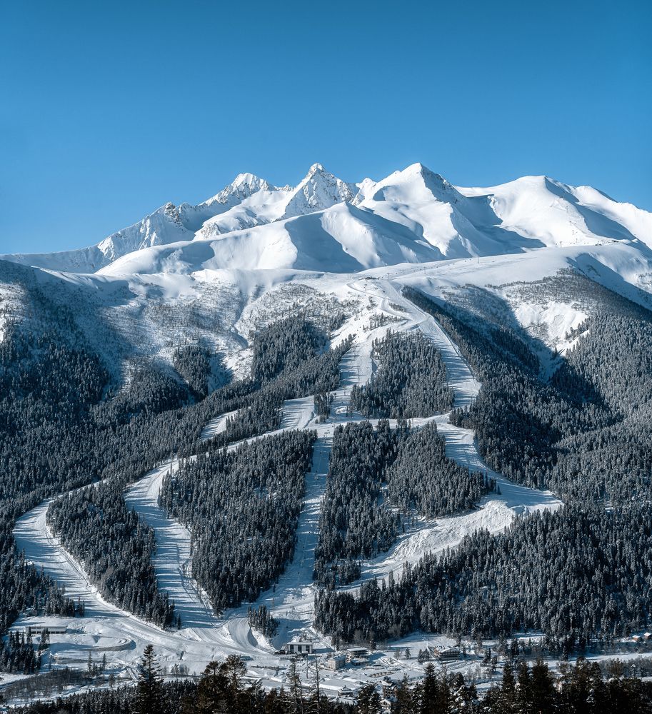 Фотография автора Анастасия Мазурева