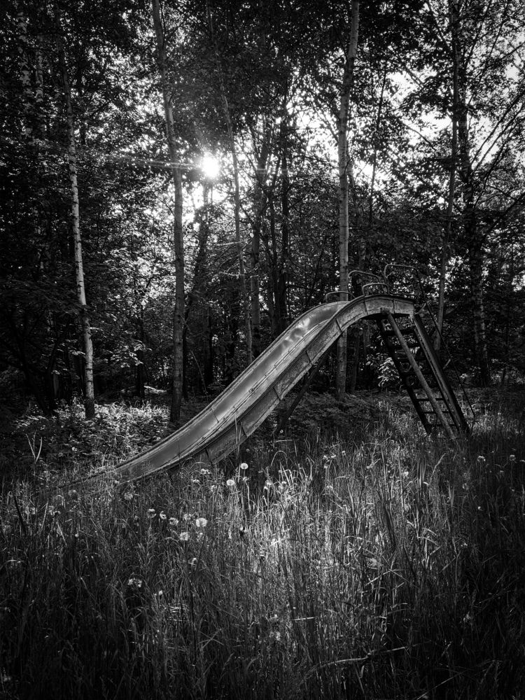 Photo #5922963