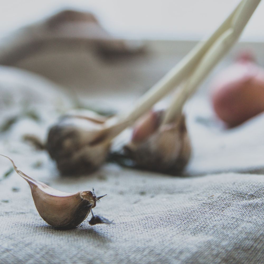 Photograph by Алена