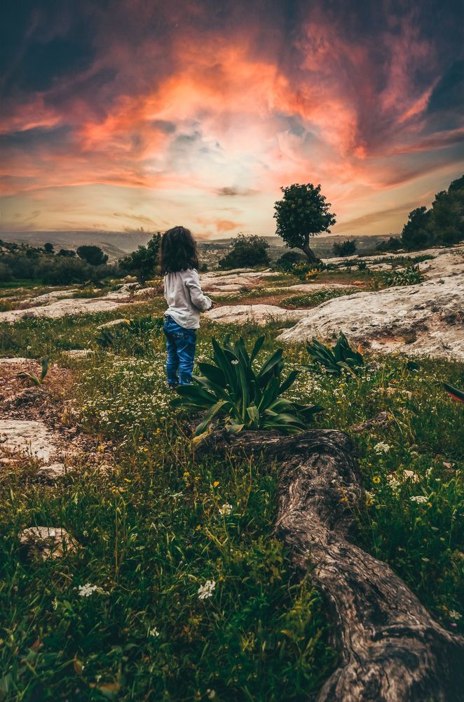 Photograph by khaldoon Abu Ordon